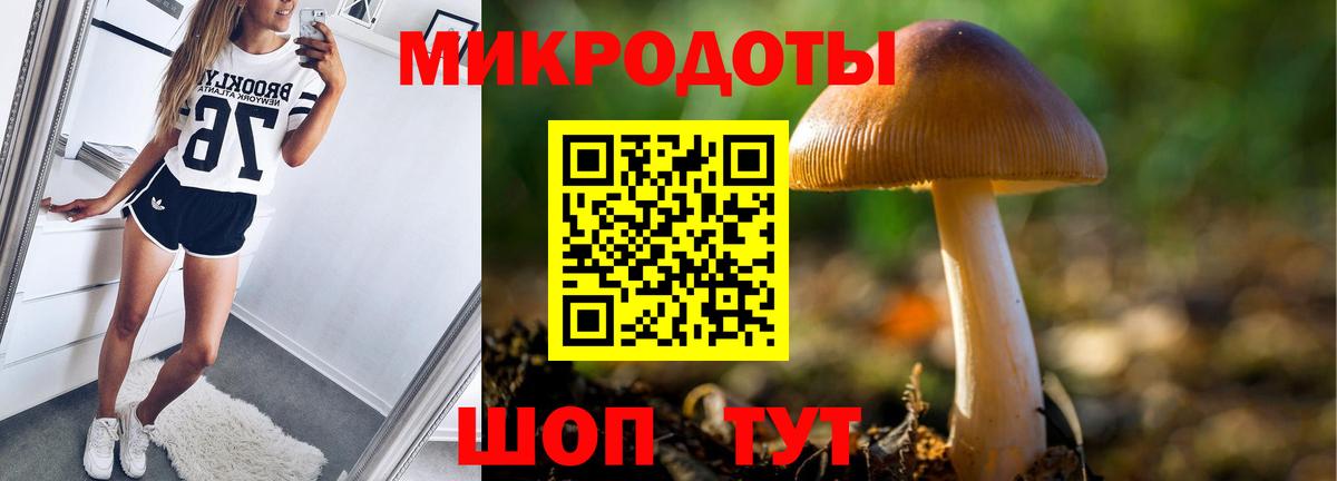Галлюциногенные грибы MAGIC MUSHROOMS Кизляр